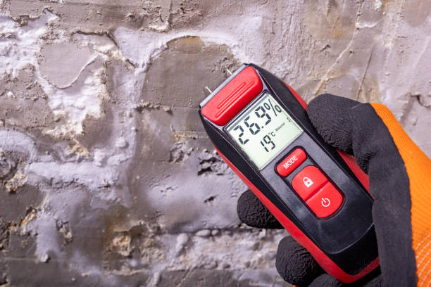 Best Emergency Mold Removal  in Buena Vista, CO